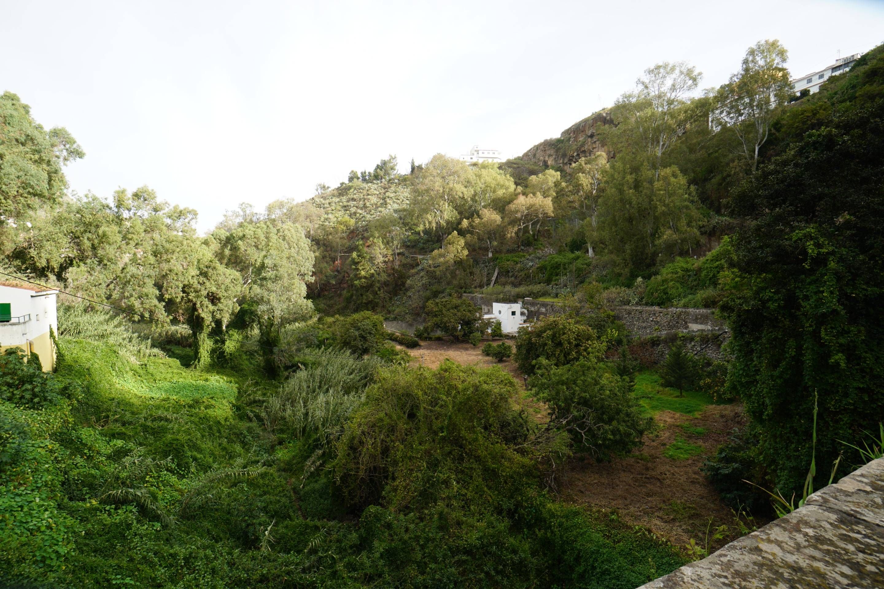Vista exterior de Finca rústica en venda en Teror amb Jardí privat i Terrassa