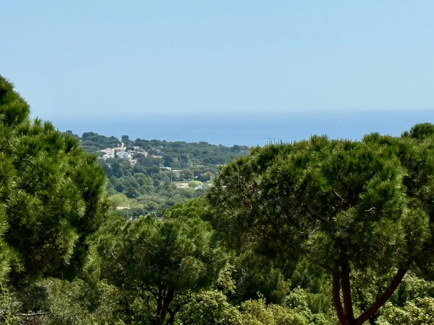 Haus mit Pool zum Verkauf in Carrer del Castanyer, imagen 10