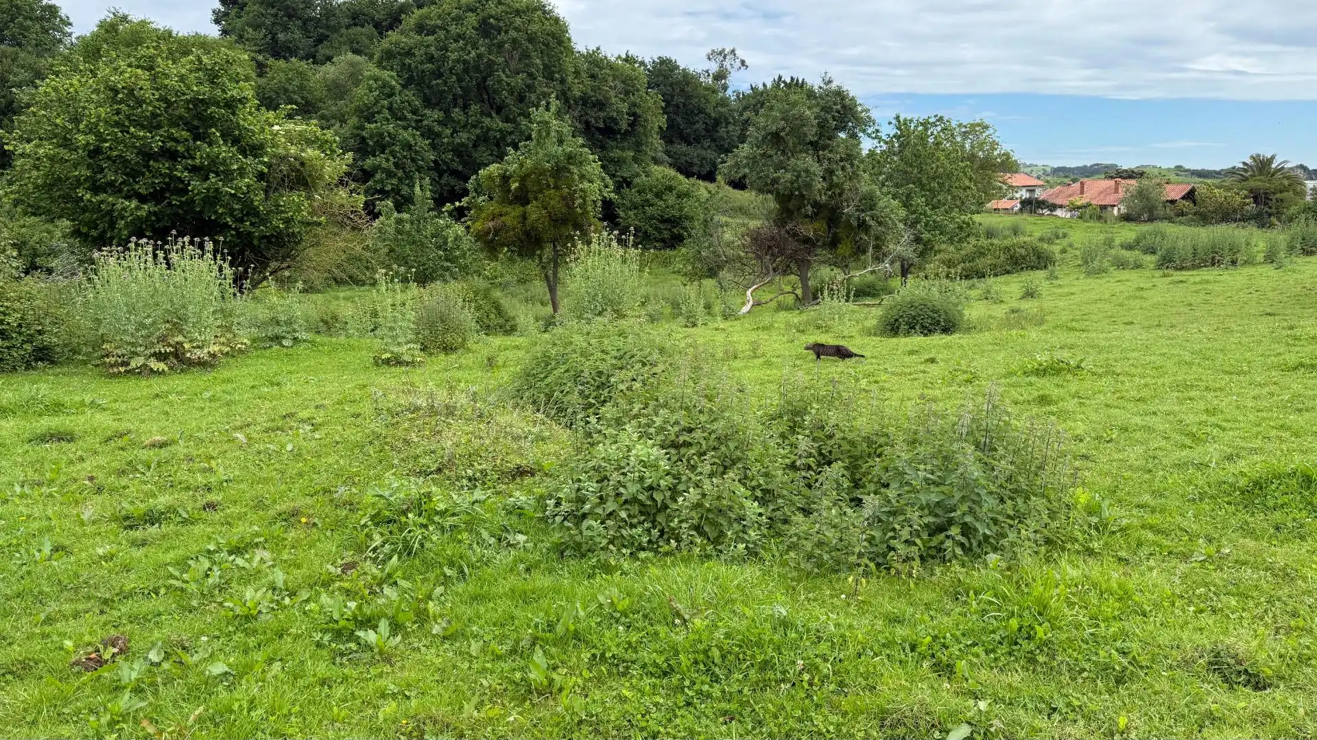 Residencial en venta en Reocín