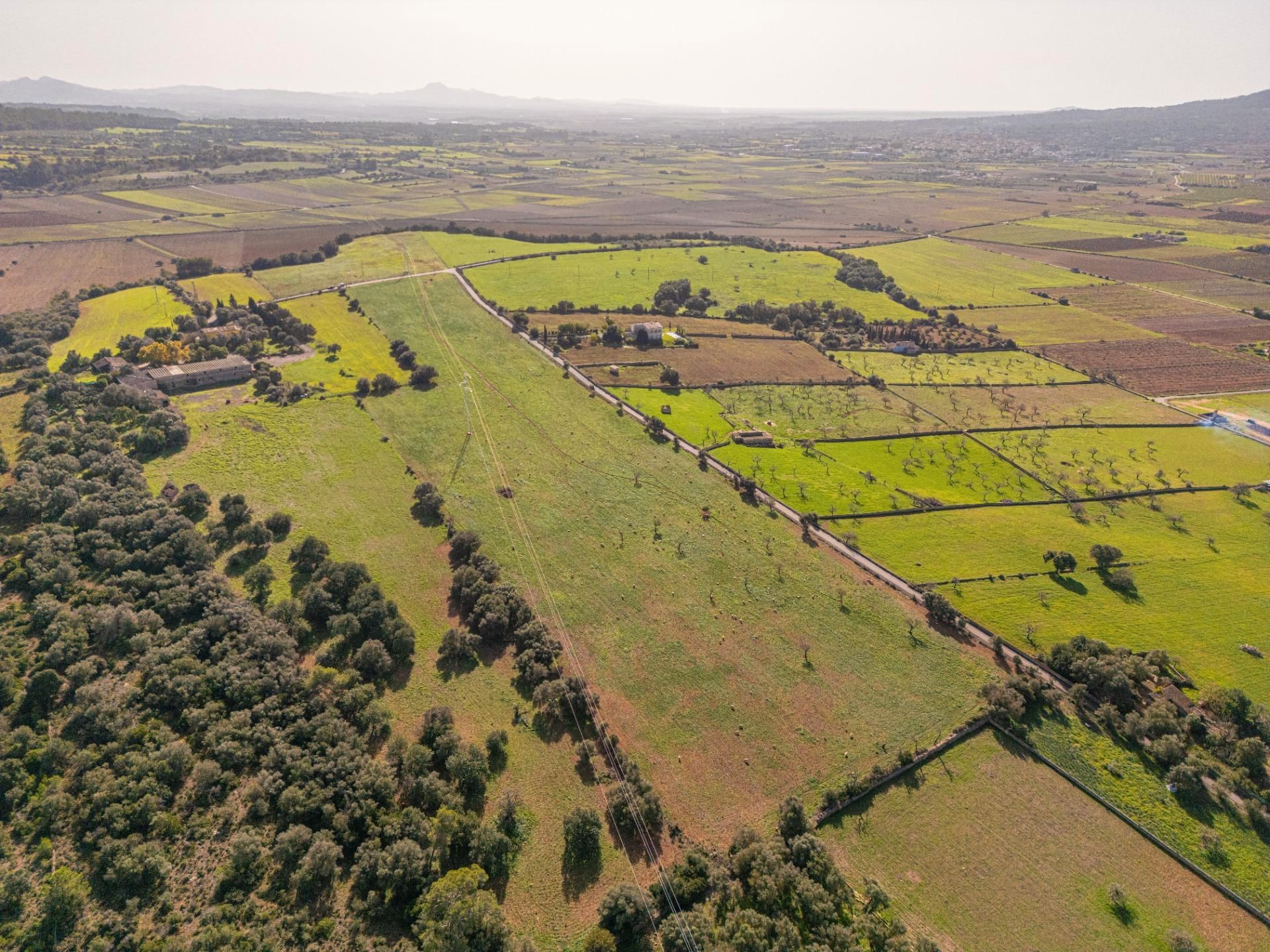 Residential zum verkauf in Ariany