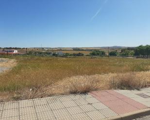 Terreny en venda en Alcaucín