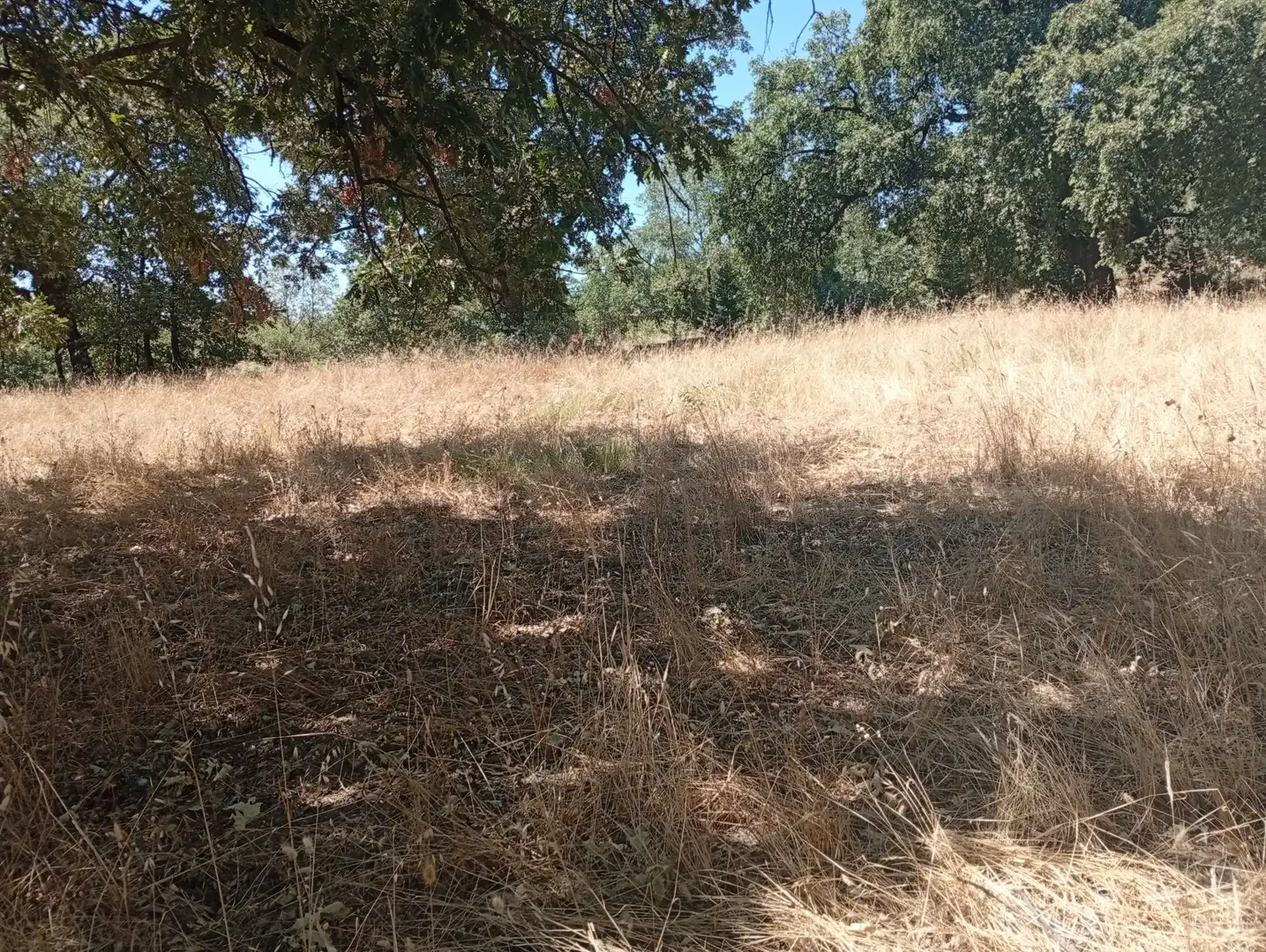 Terreni e lotti in vendita a Villanueva de la Vera, imagen 19