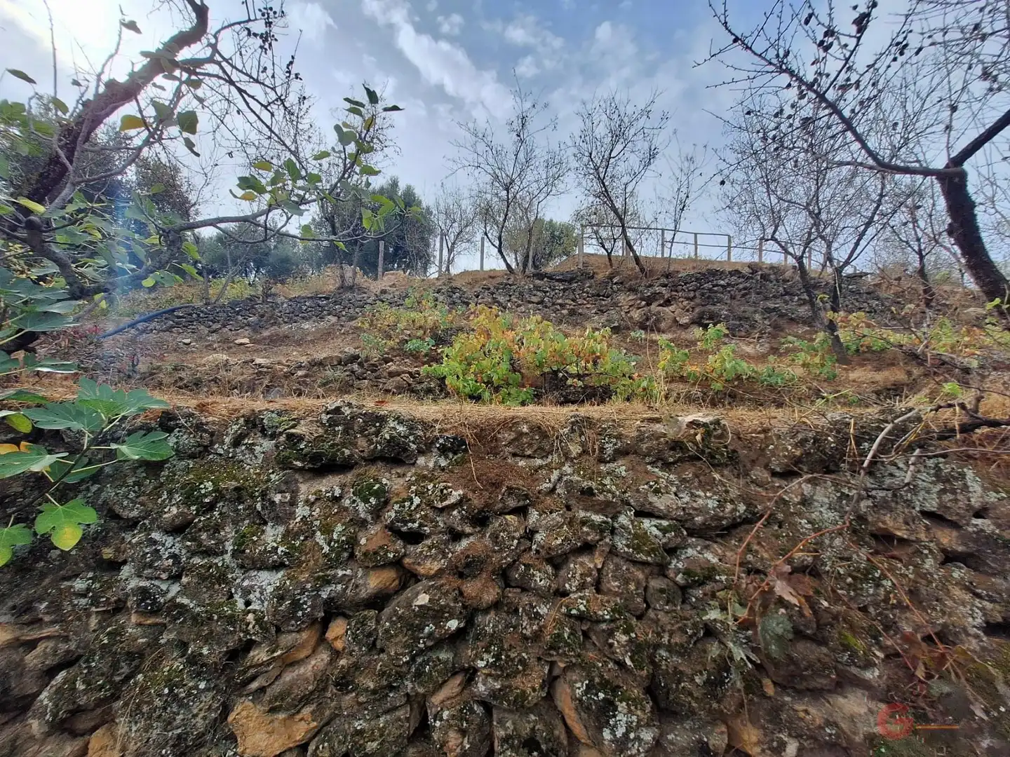 Casa rústica en venda a Lanjarón, imagen 12