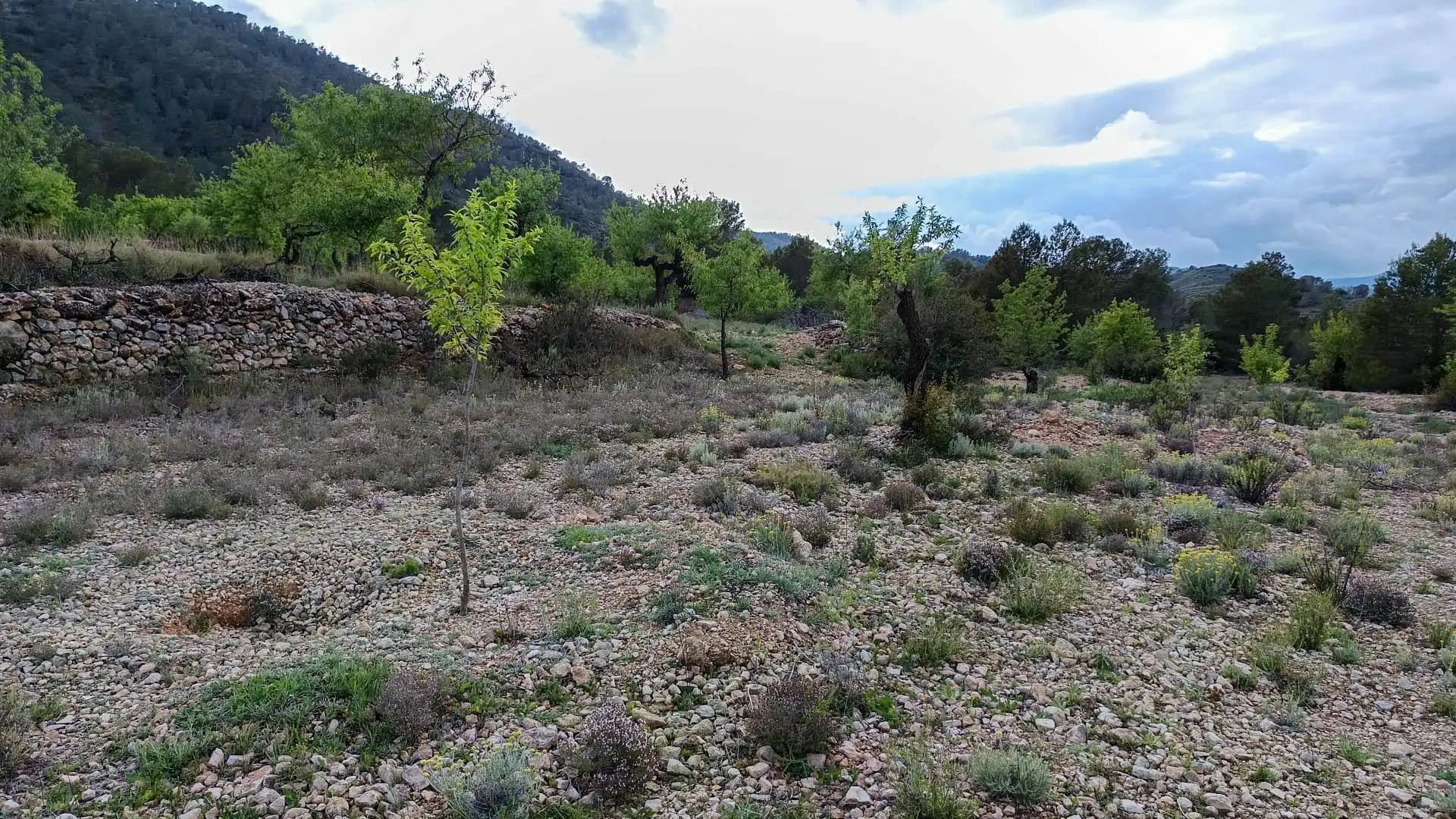 Haus mit Garten zum Verkauf in Hondón de las Nieves / El Fondó de les Neus, imagen 7