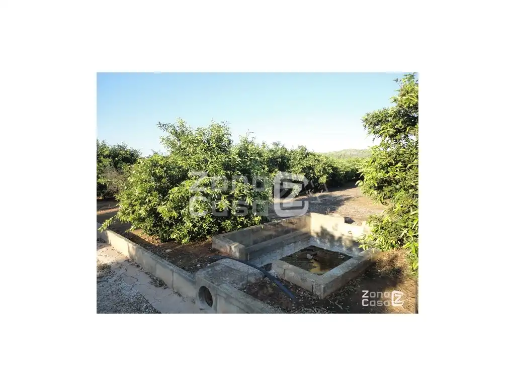 Landhaus zum Verkauf in Poligono Numero 2, imagen 10