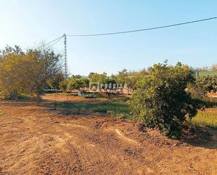 Terreny industrial en venda a Antigua Fábrica Harina, Cártama