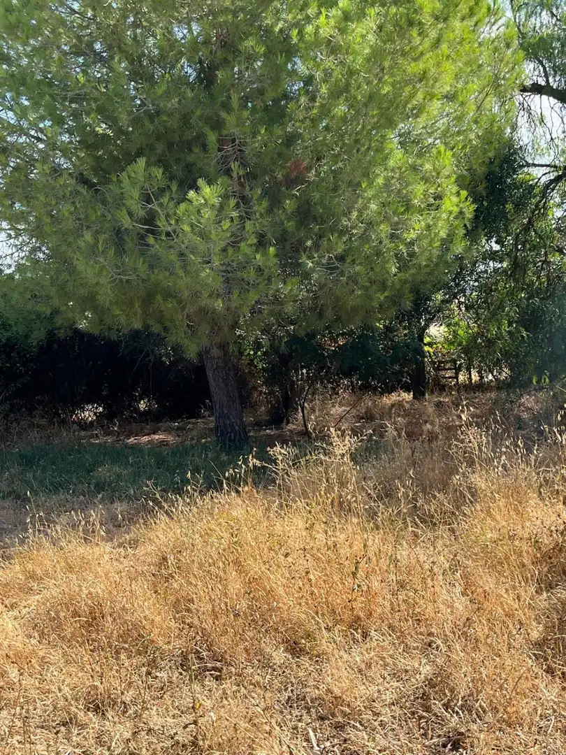 Finca rústica en venda en Jerez de la Frontera
