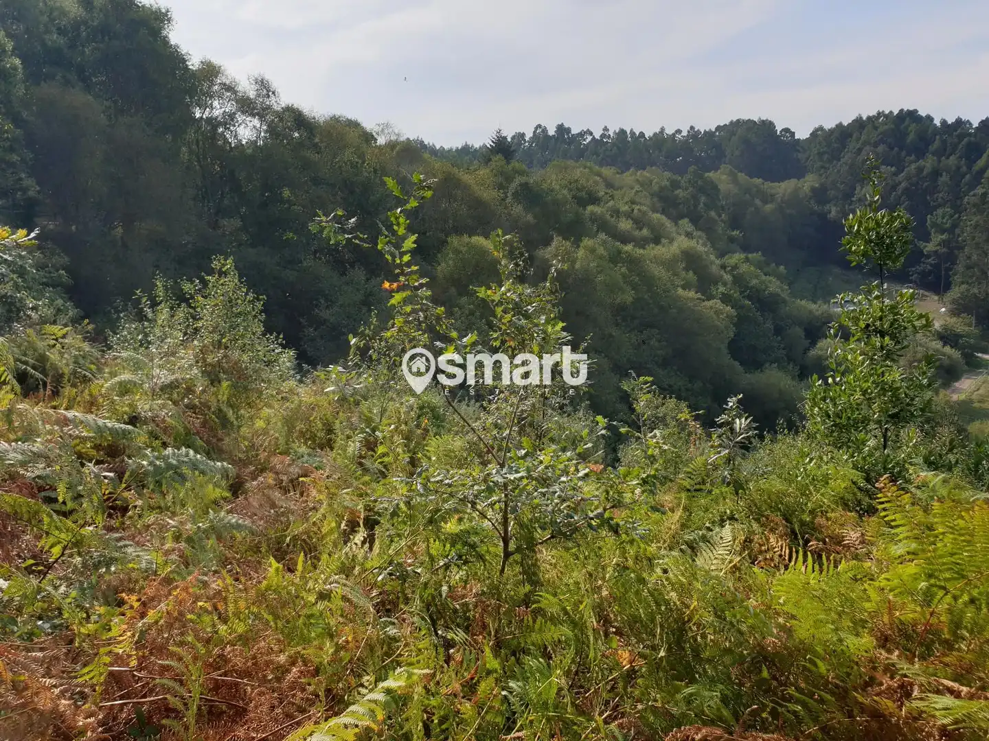 Terreno en venta en Castrillón