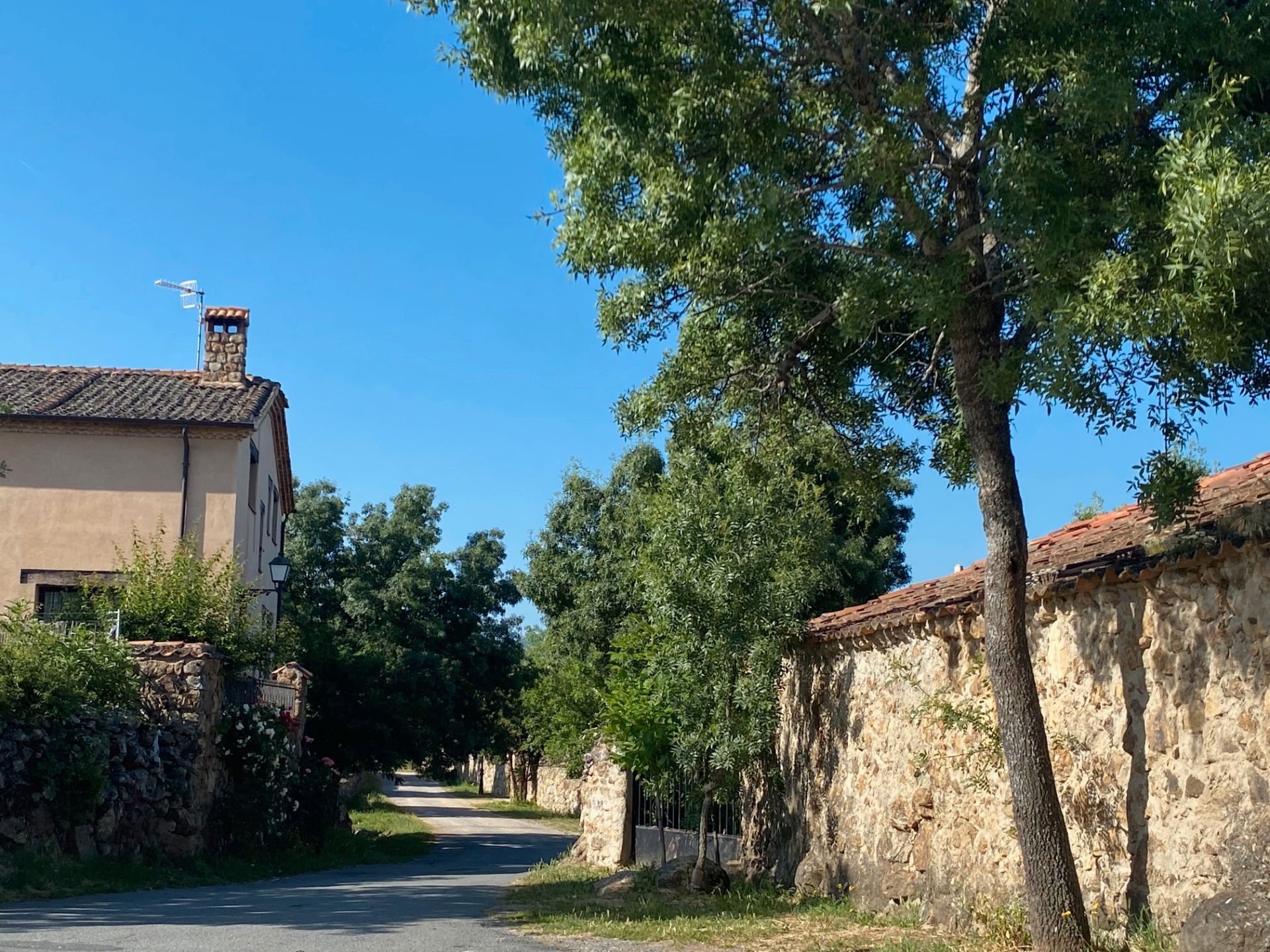 Vista exterior de Casa o xalet en venda en Sotosalbos amb Aire condicionat i Calefacció