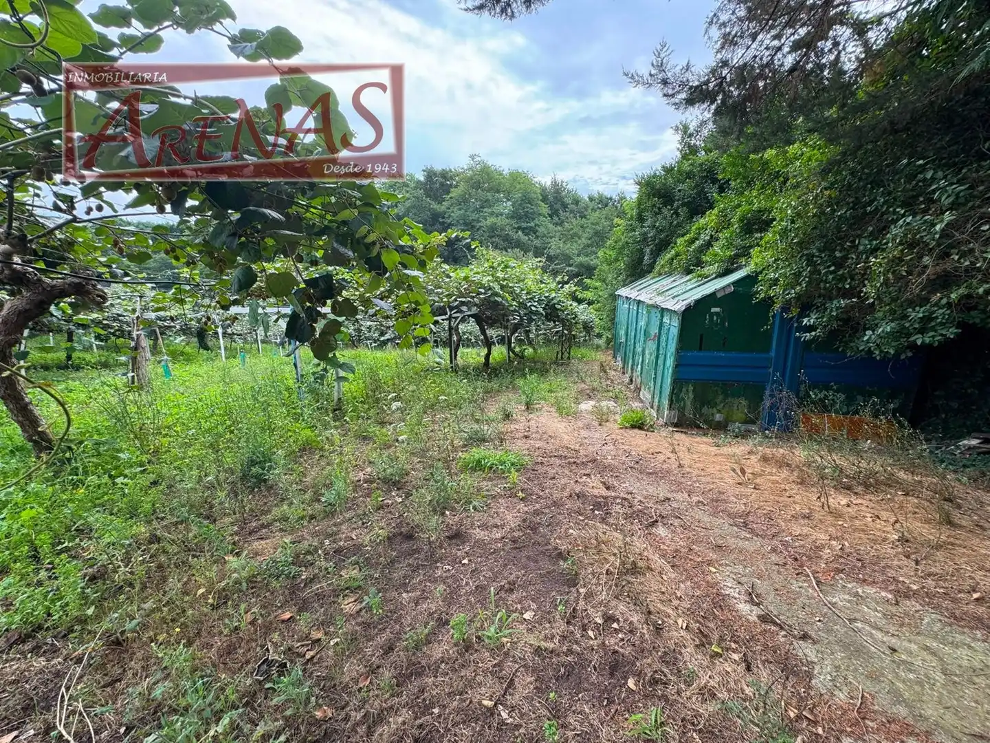 Land for sale in Marina de Cudeyo