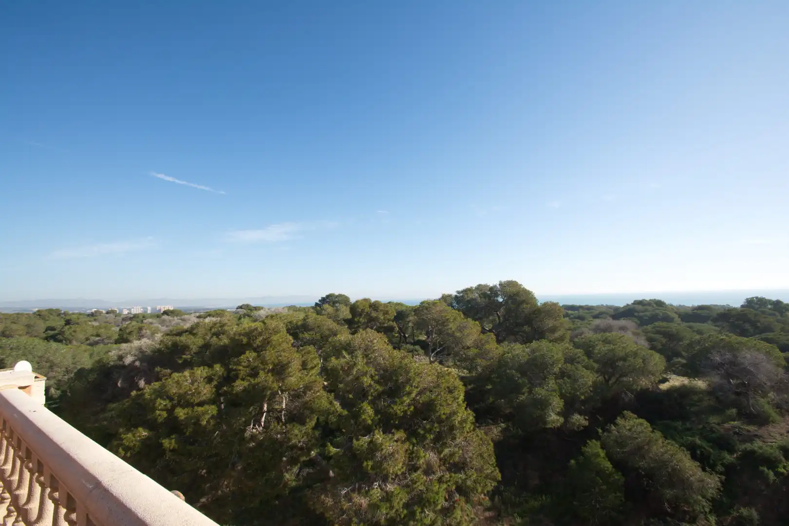 Neubau-Penthouse mit Pool zum Verkauf in Carrer Colon, imagen 10