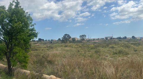 Foto 5 de Residencial en venta en Moralet, Alicante / Alacant