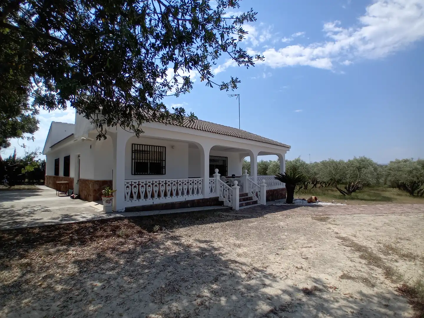 Vista exterior de Casa o chalet en venta en Torrent con Jardín privado, Terraza y Piscina