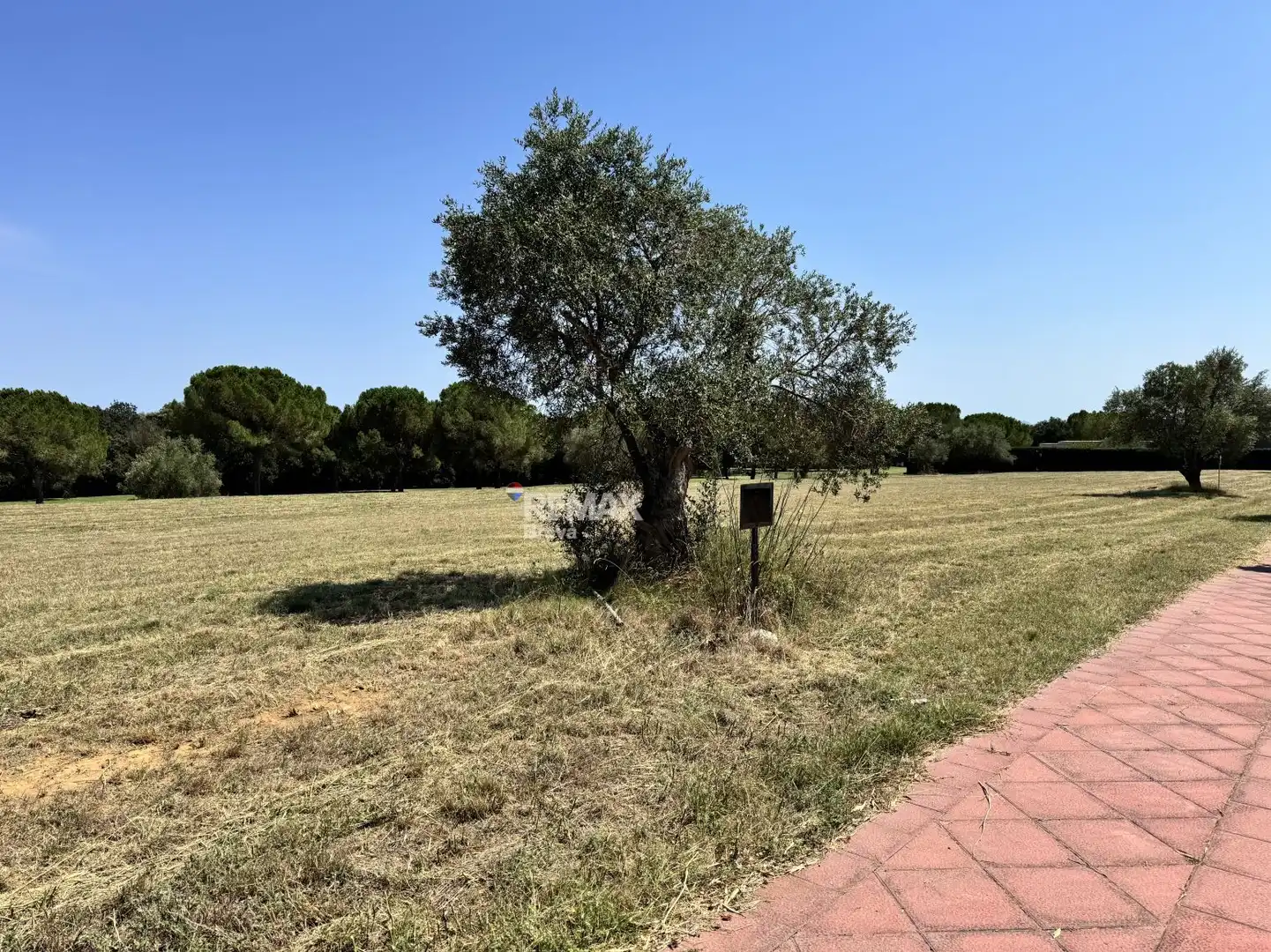Lands and plots for sale in Calle CL FELIP L ARDIT, imagen 2