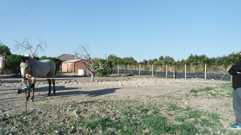 Foto 2 de Finca rústica en venda a La Jara, Sanlúcar de Barrameda