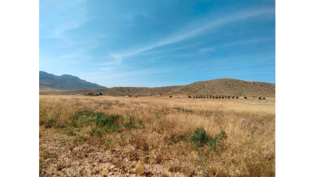Residential for sale in PARAJE ALBERCEALES, POL.140, PARC. 27, -1, Jumilla