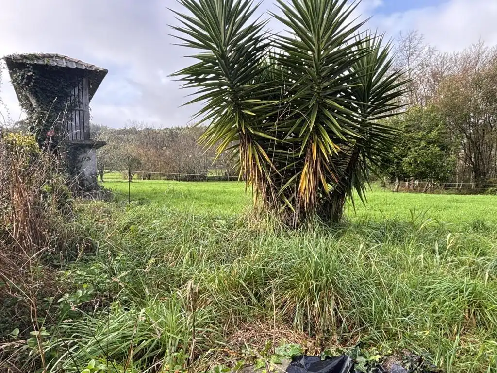 Country homes for sale in Ortigueira  with Private garden