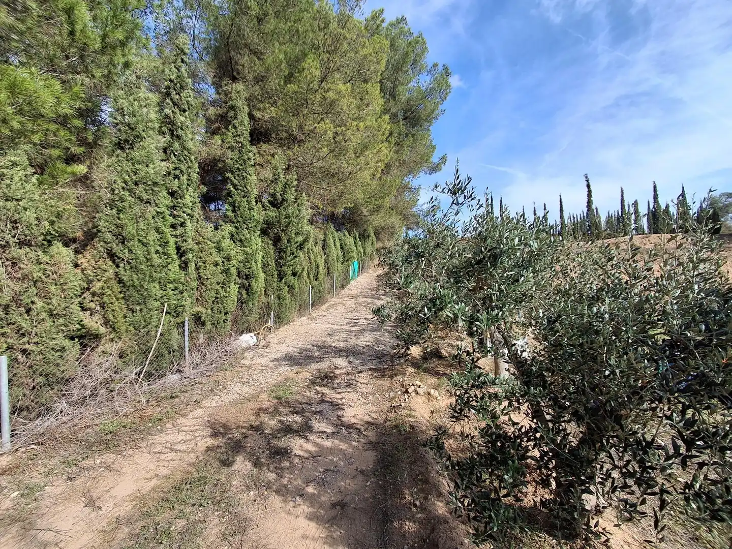 Rural land for sale in Ginestar, imagen 47
