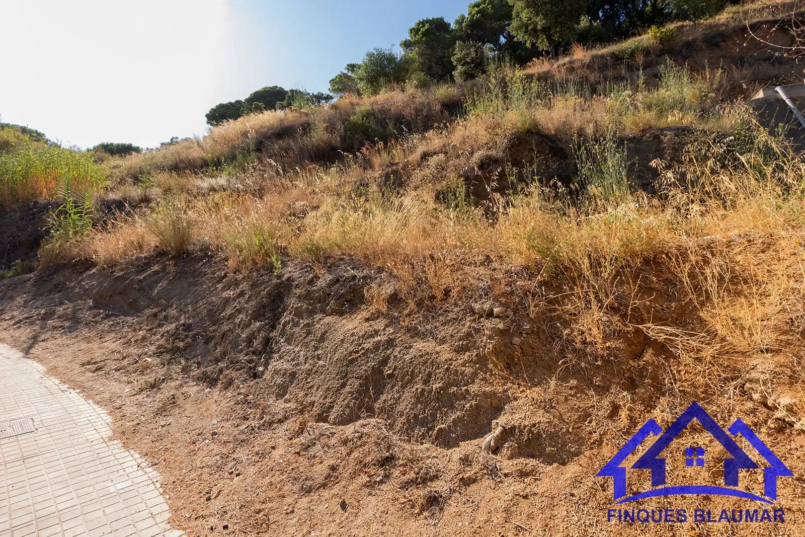 Lands and plots for sale in Arenys de Munt, imagen 7