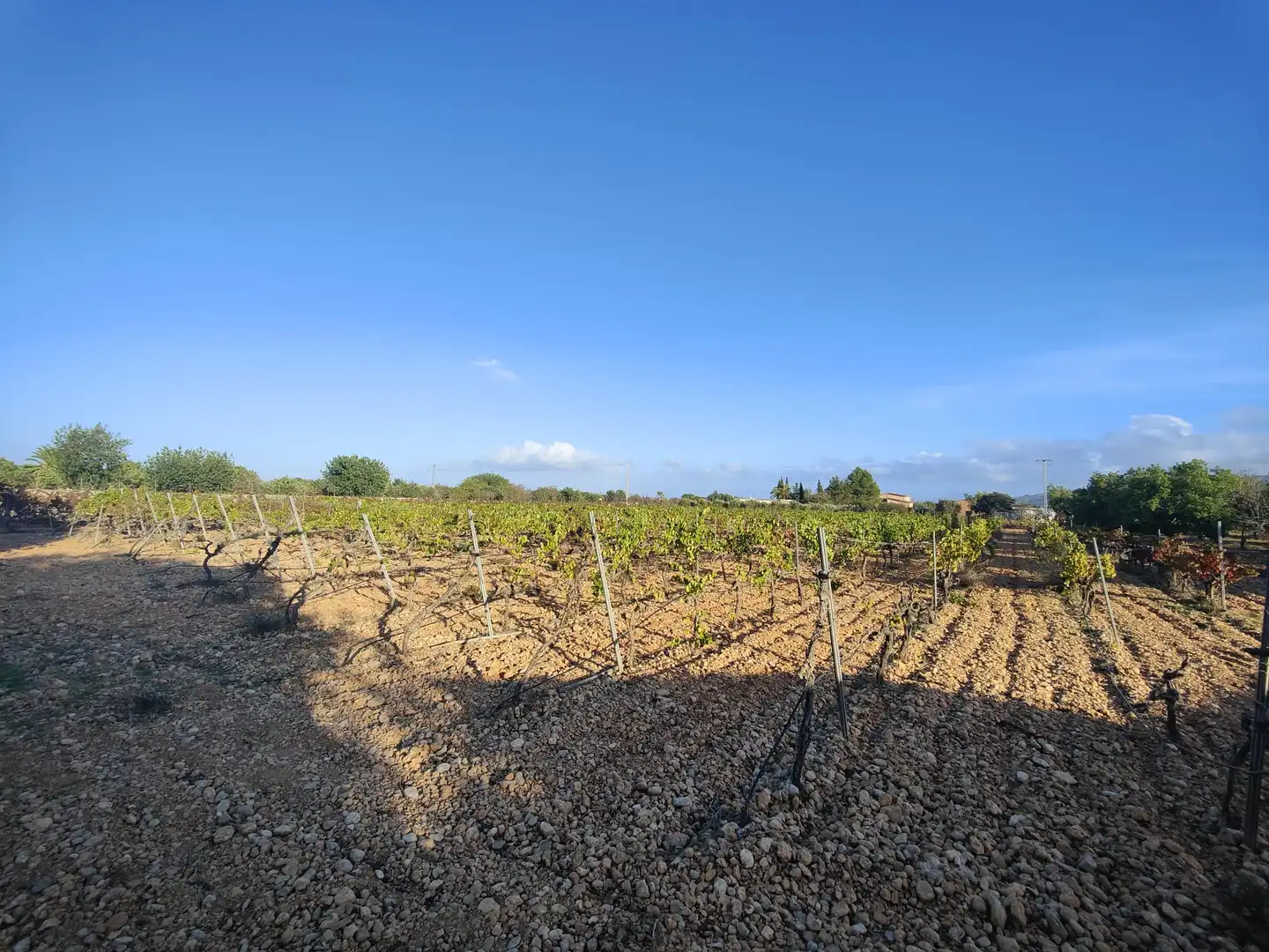 Residencial en venda en Consell