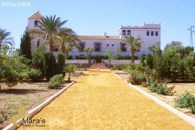 Business premises for sale in Carmona, imagen 3