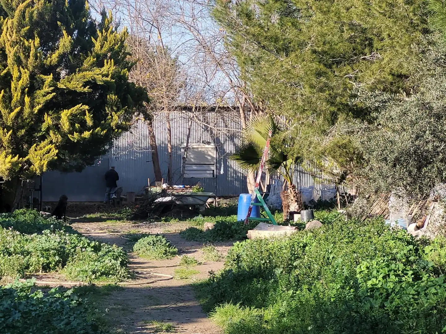 Terrenys i solars en venda a Pedanías Oeste, imagen 4