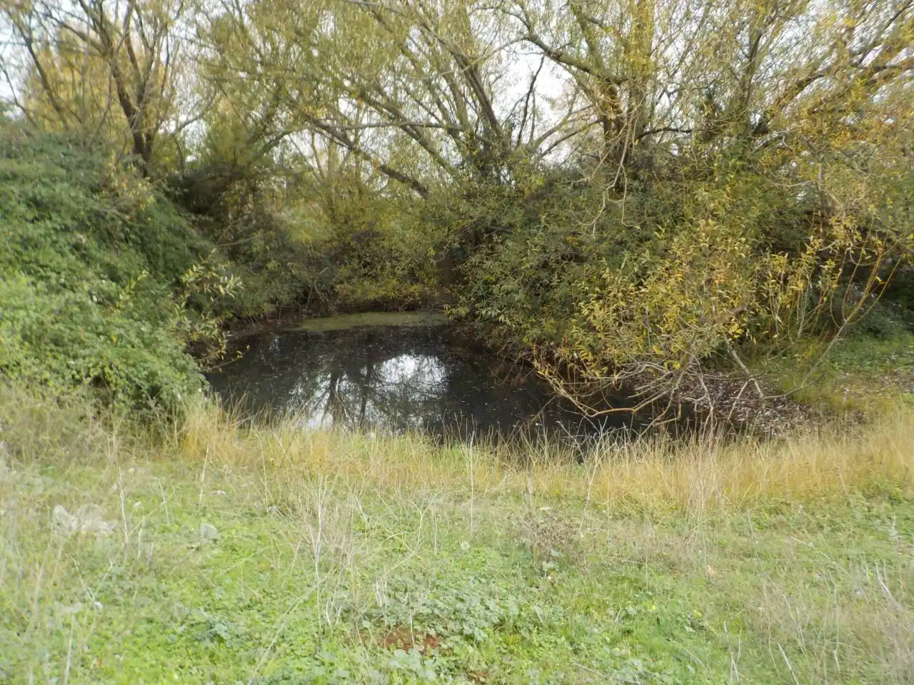 Terreno residenziale in vendita a Poligono 20, imagen 13