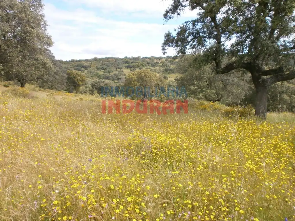 Casa rústica en venda a Malpartida de Plasencia, imagen 5