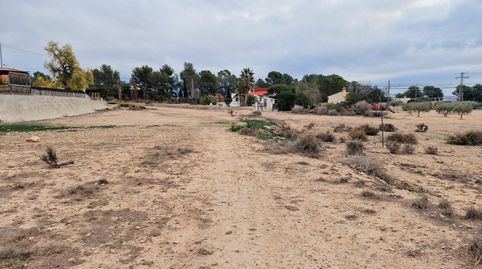 MonóvarMonòverTerreno, imagen 3