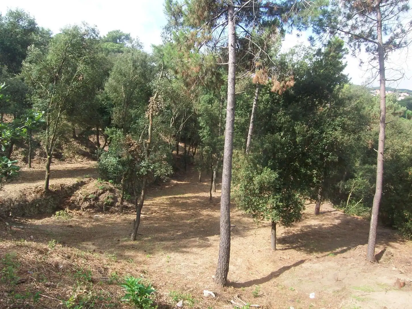 Terreno residencial en venta en Sant Fost de Campsentelles