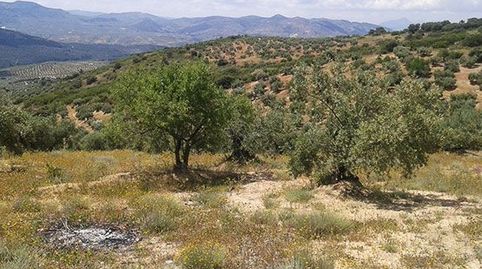 Terreno en venta en lugar Portillo Del Estepar-s/nº, Castillo De Locubín, Jaén, immagine 3