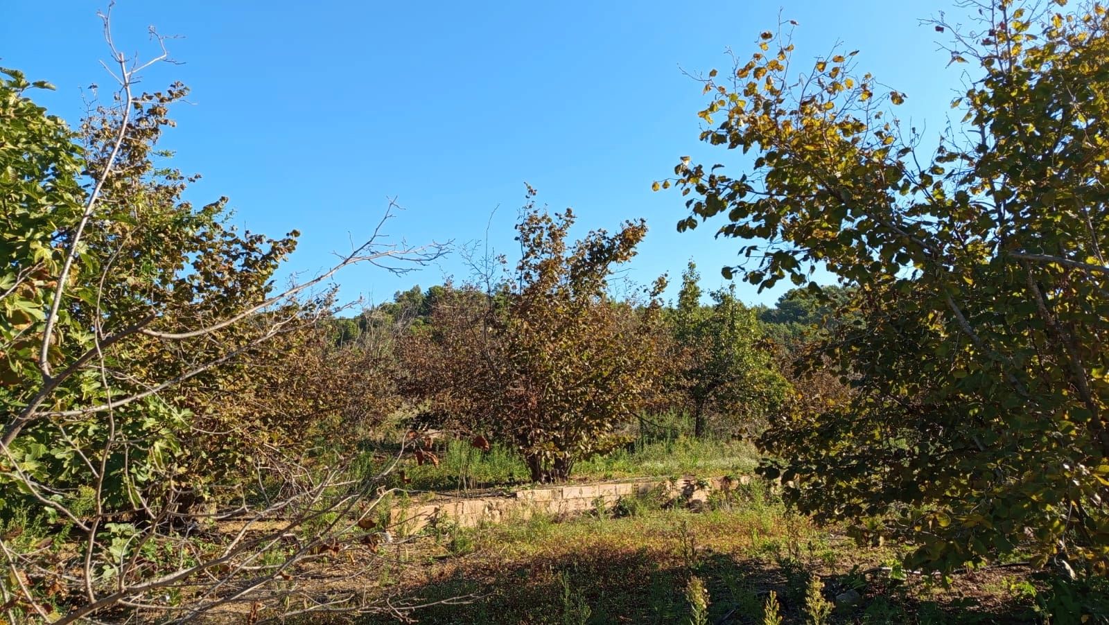 Land for sale in Reus