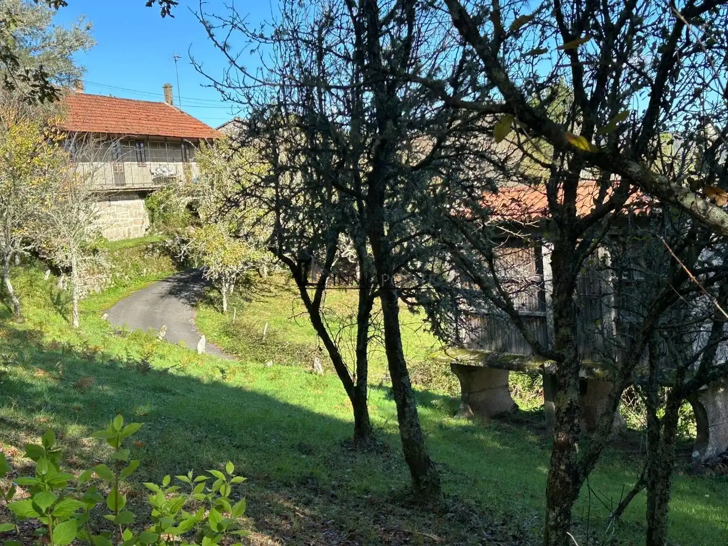Vista exterior de Casa o xalet en venda en Cerdedo amb Jardí privat