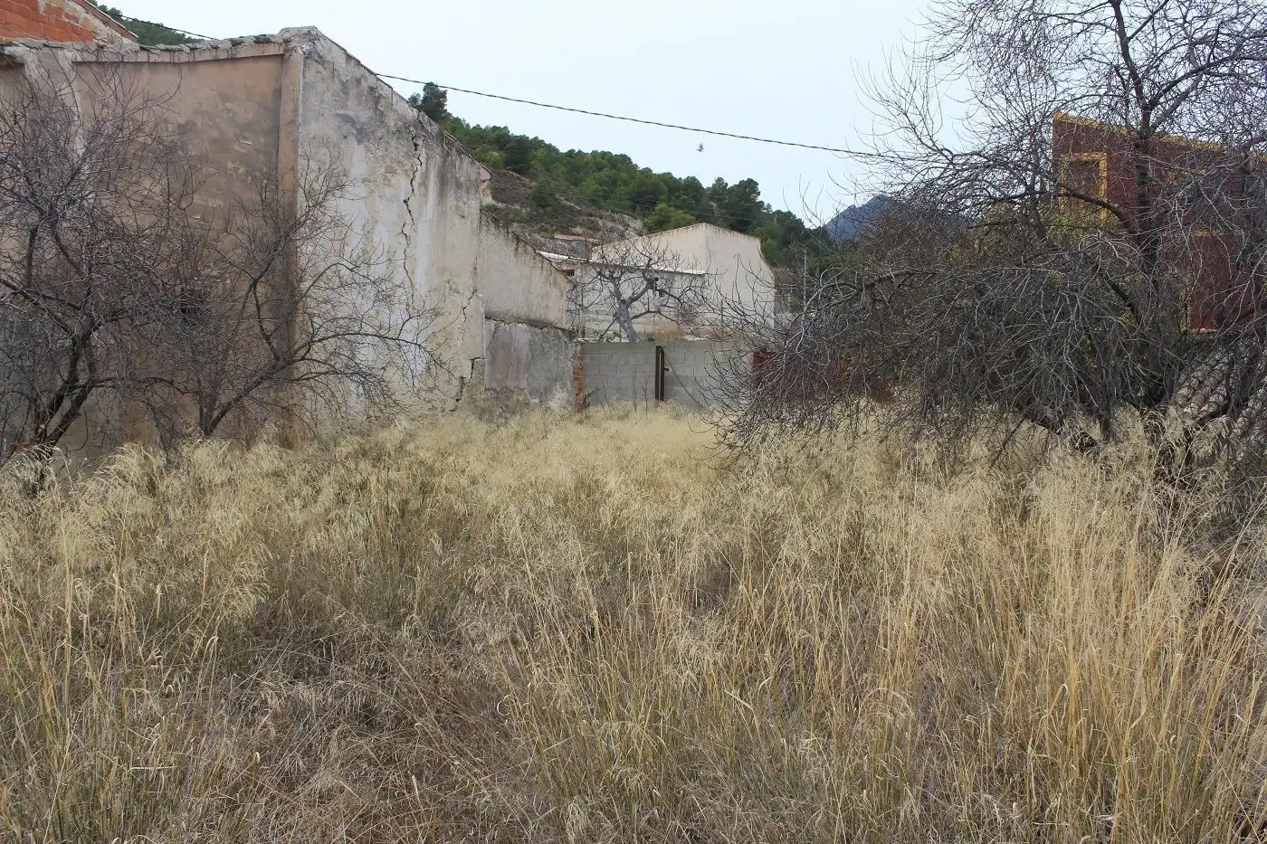 Terreni e lotti in vendita a Moratalla, imagen 5