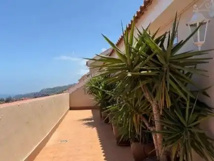 Terrasse von Wohnung zum Verkauf in La Orotava mit Terrasse