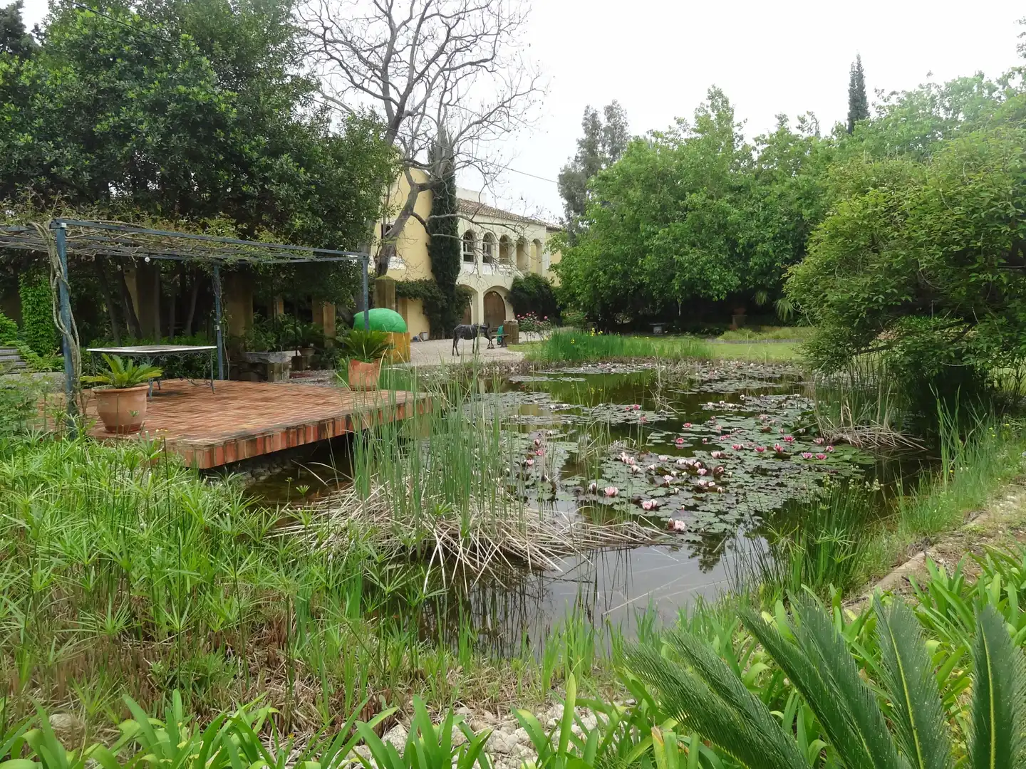 Jardí de Casa o xalet en venda en Beniarbeig