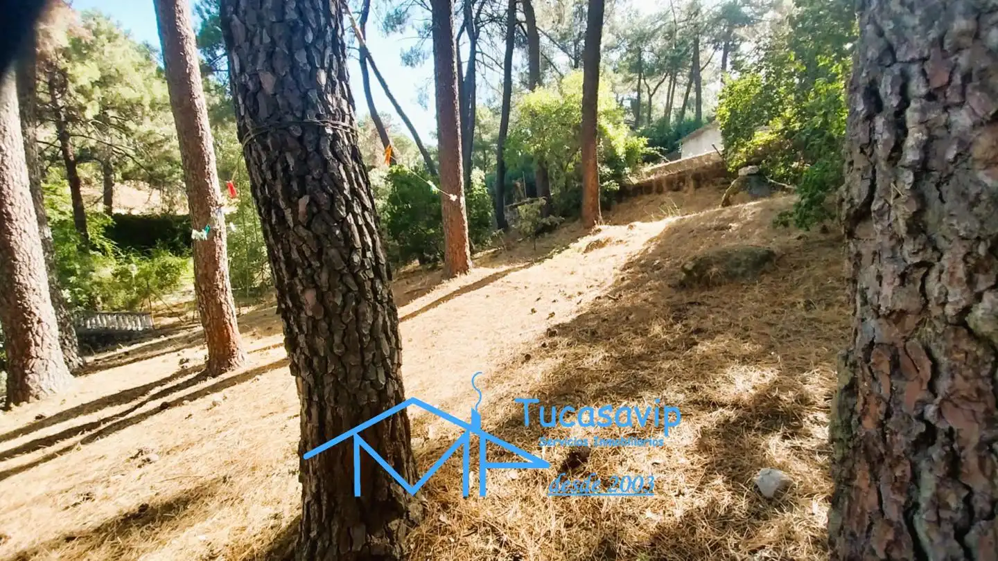 Residencial en venta en Rozas de Puerto Real