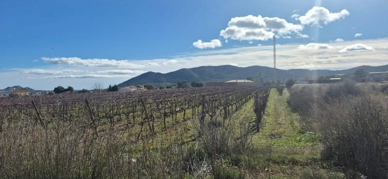 Terreny rústic en venda a La Romana