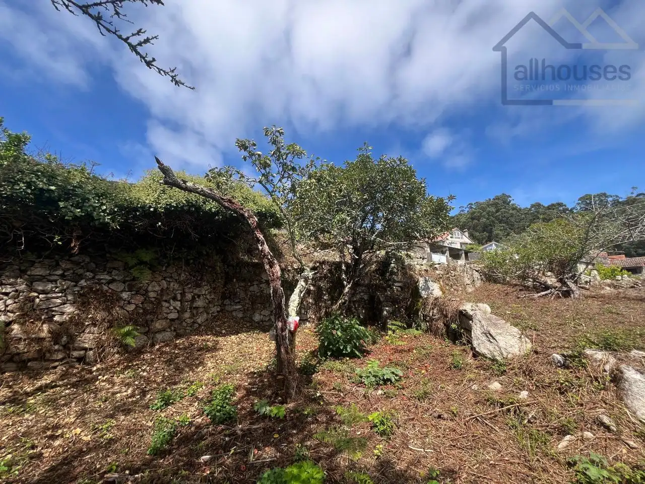 Residential land for sale in A Guarda, imagen 19