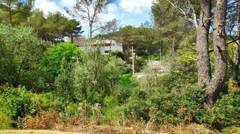 Terreno en venta en Mas Mestre. Olivella, immagine 3