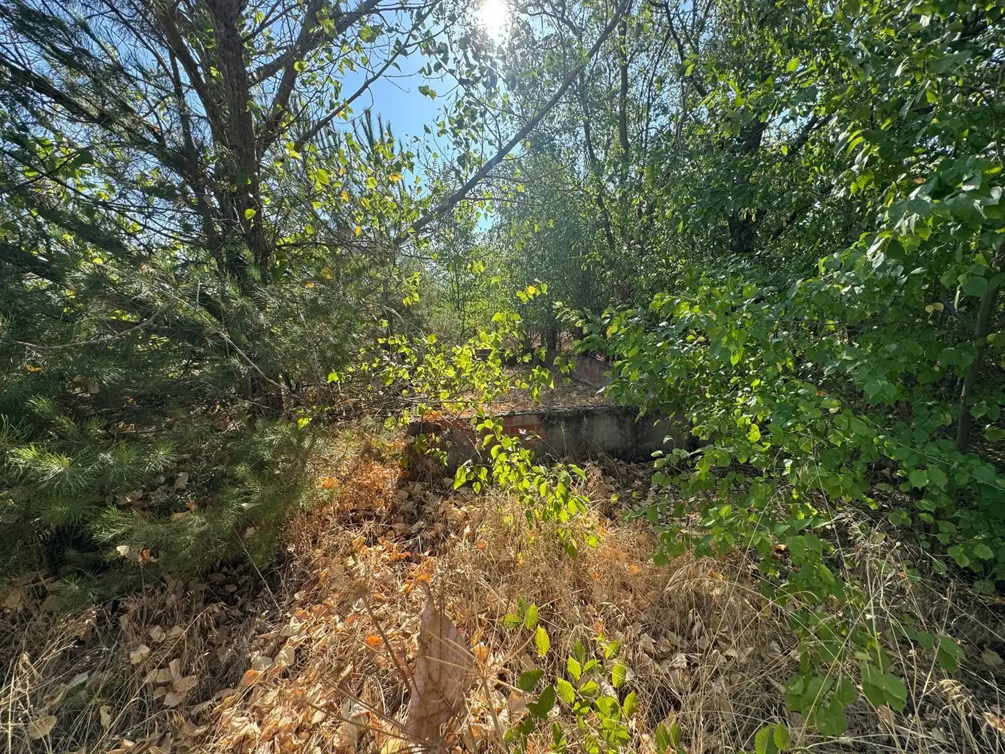 Rural land for sale in Camino del Serrano, imagen 6