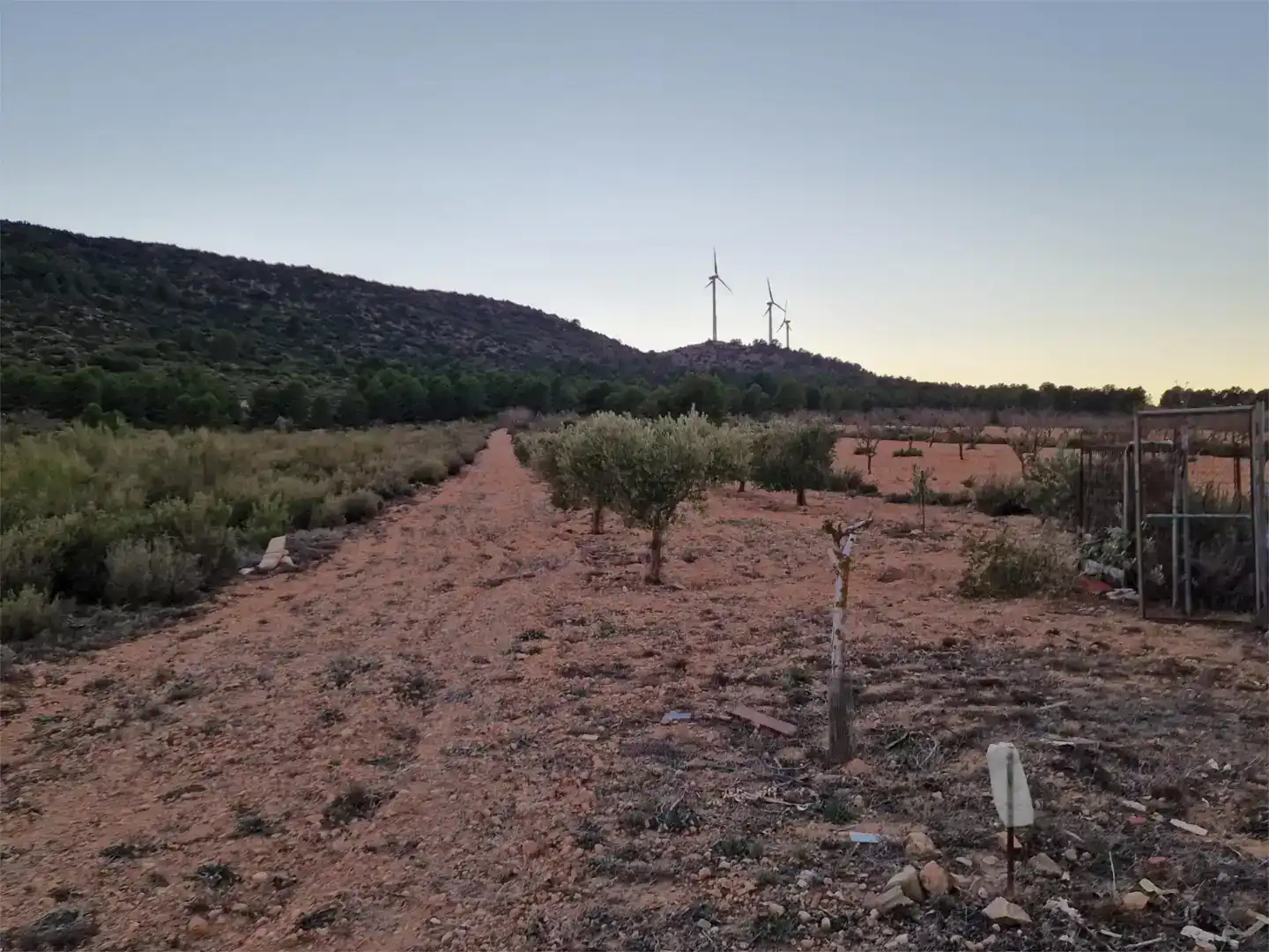Finca rústica en venda en Pozohondo