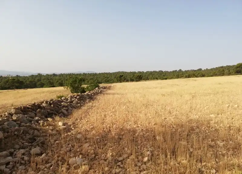 Residential land for sale in Polígono 247, imagen 5