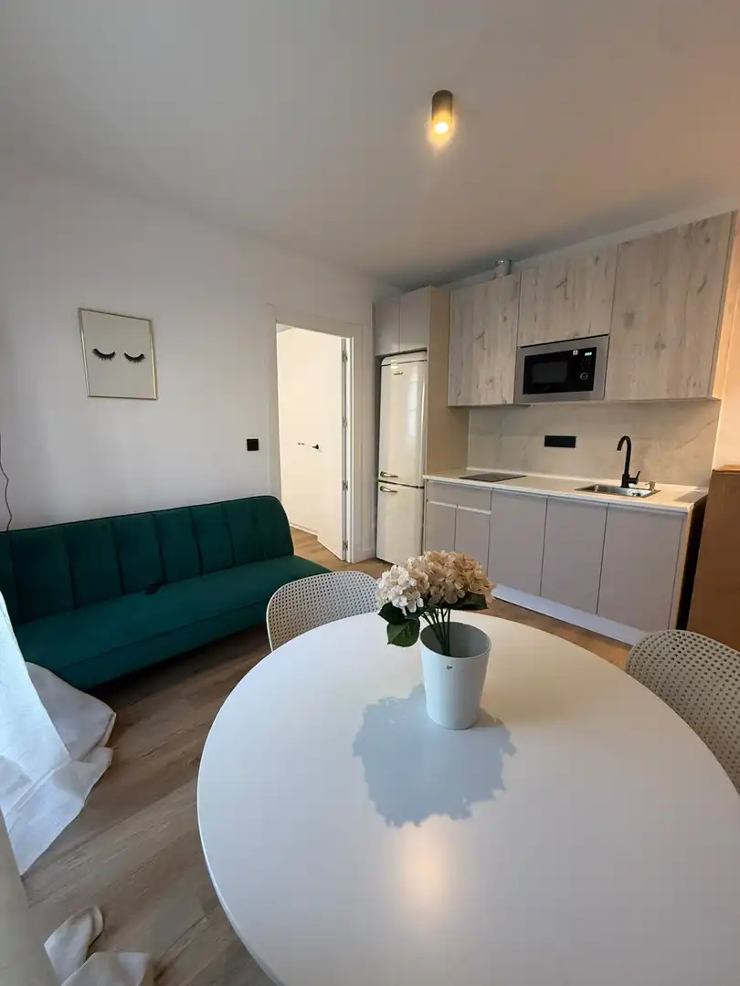 Sala d'estar de Pis de lloguer en Santander amb Calefacció, Jardí privat i Terrassa