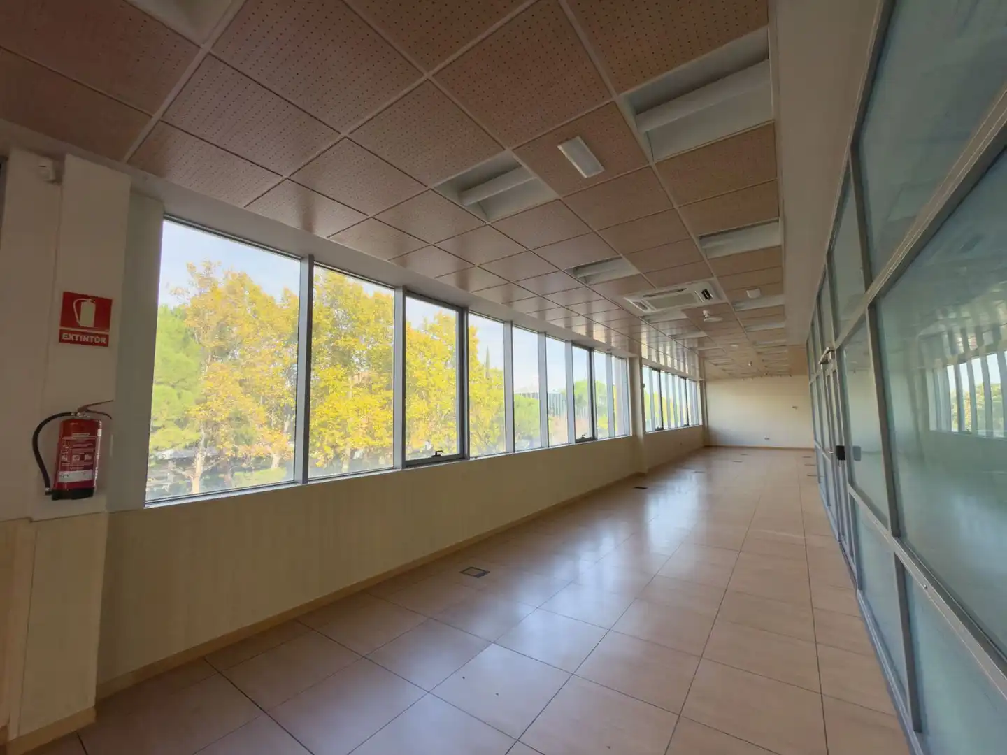 Gemischtgenutztes Gebäude zum Verkauf in Montserrat - Parque Empresarial, imagen 13