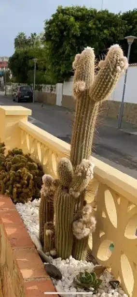 Jardín de Casa o chalet en venta en Vera con Aire acondicionado, Jardín privado y Terraza