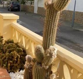 Photo 5 of House or chalet for sale in Avenida Chafarinas, Puerto Rey, Vera