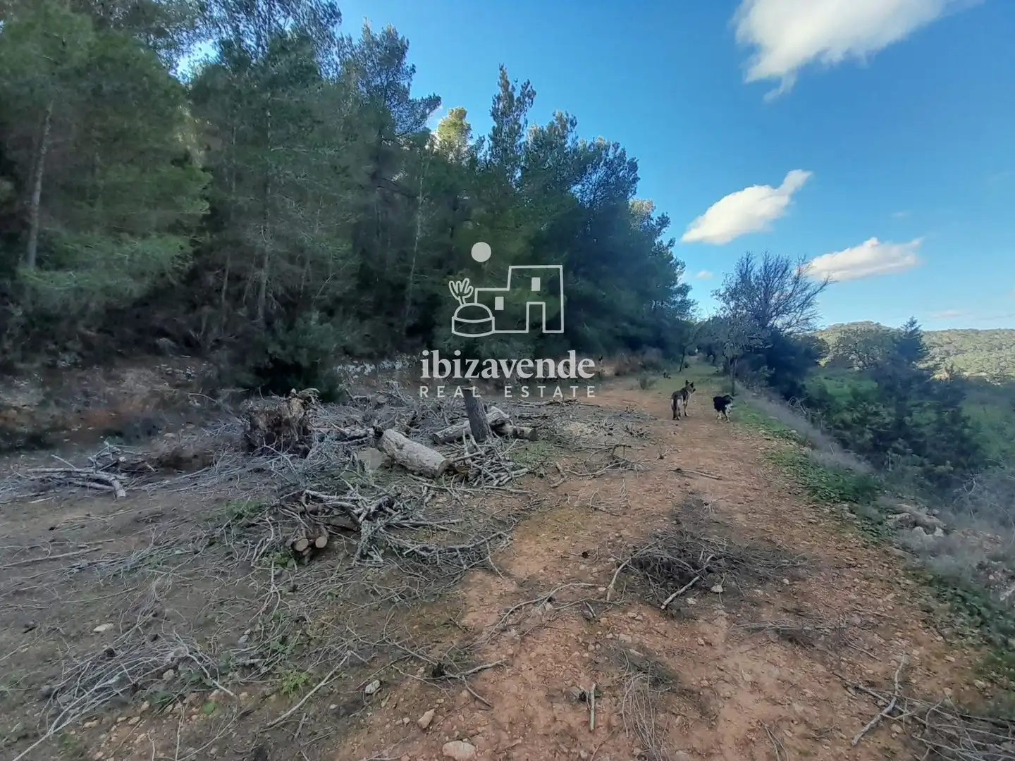 Land for sale in Can Puig de Mar, Sant Josep