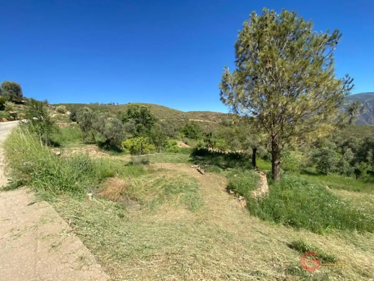 Finca rústica en venta en Lanjarón