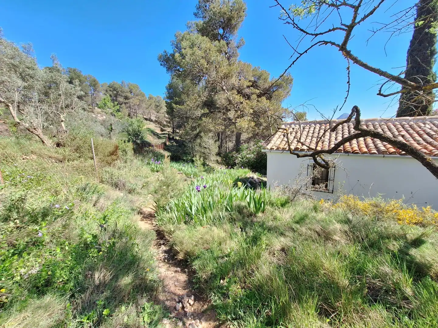 Finca rústica en venda en Alcoy / Alcoi amb Traster i Moblat
